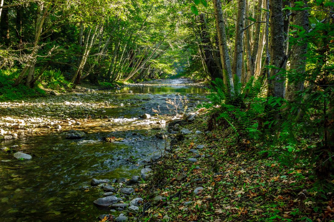 Big Sur River.jpg