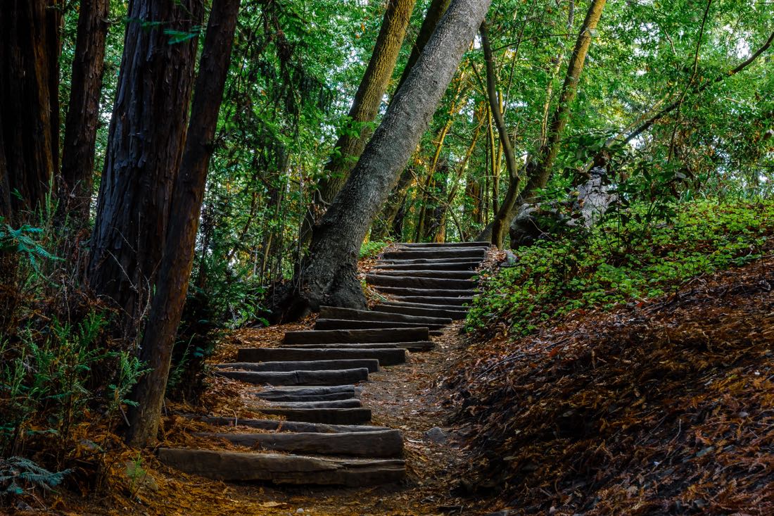 Big Sur State Park.jpg