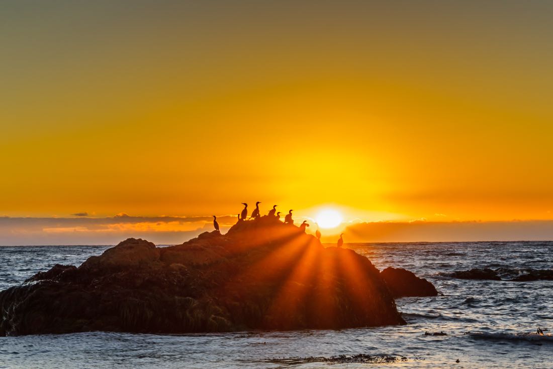 San Simeon State Park Beach.jpg