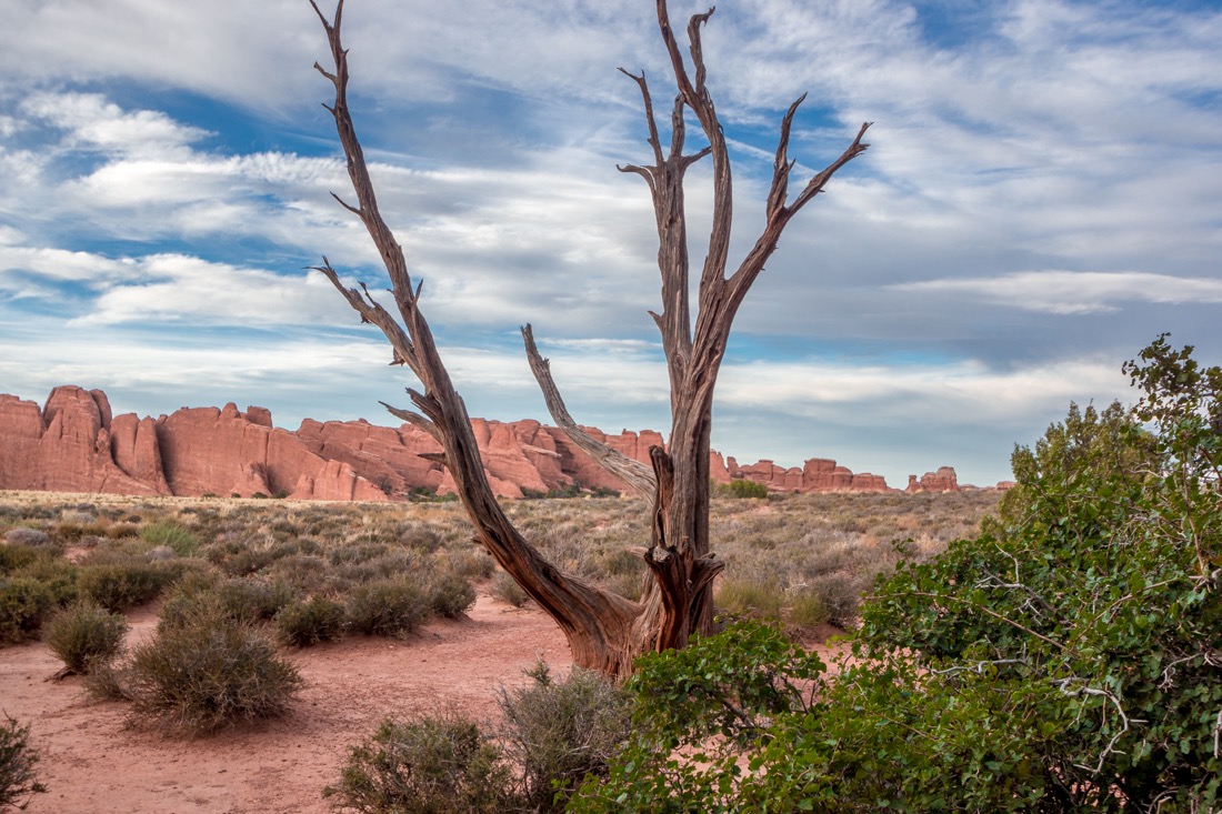 Arches National Park, Utah.jpg
