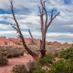 Arches National Park, Utah.jpg