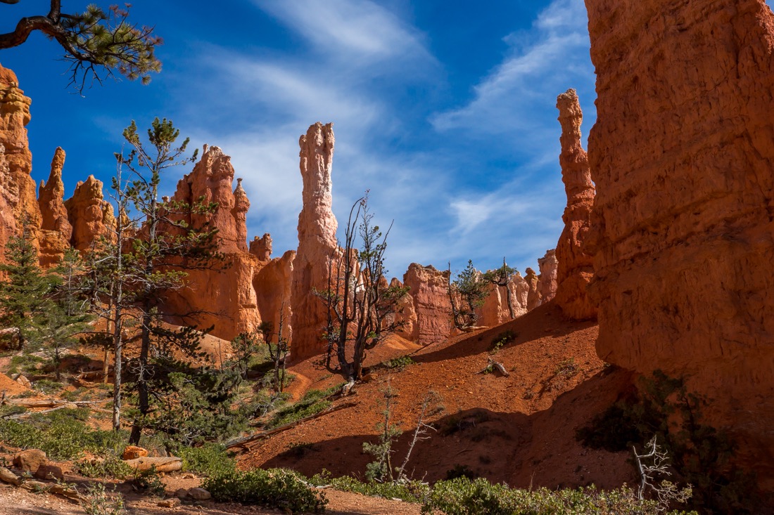 Hoodoos, Bryce Canyon NP.jpg
