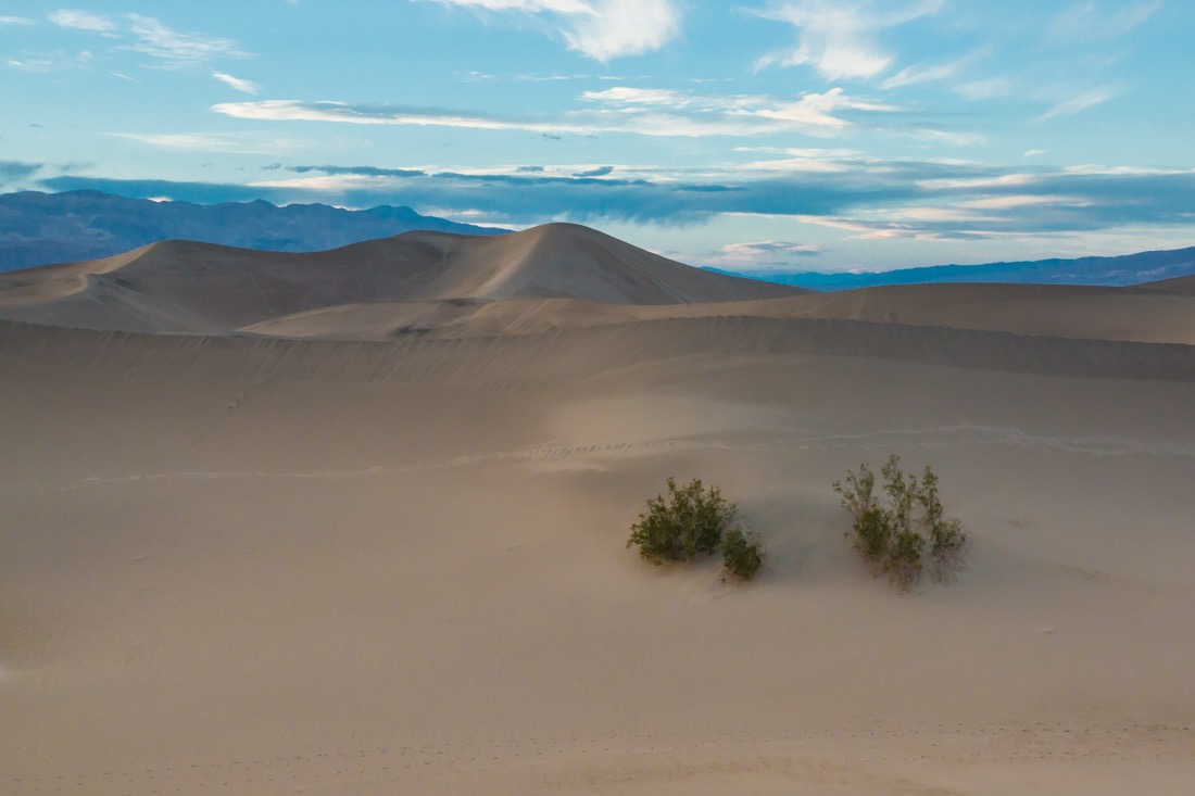Mesquite Dunes, Death Valley.jpg
