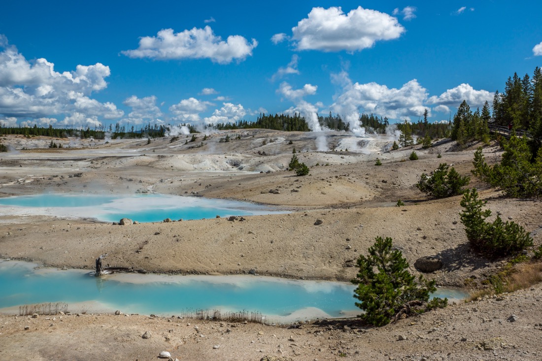 Norris Geyser Basin, Yellowstone.jpg