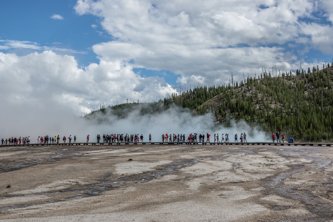 Yellowstone Morning.jpg