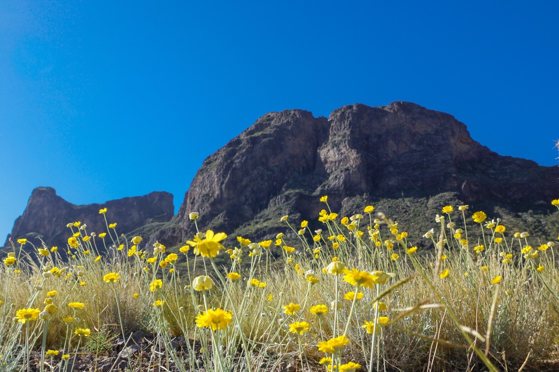 Picacho Peak State Park, Arizona.jpg