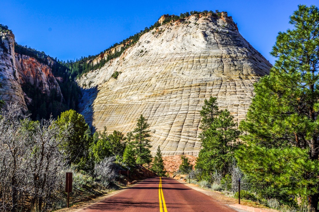 Checkerboard Mesa, Zion NP.jpg