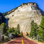 Checkerboard Mesa, Zion NP.jpg
