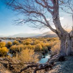 Mono Basin View.jpg