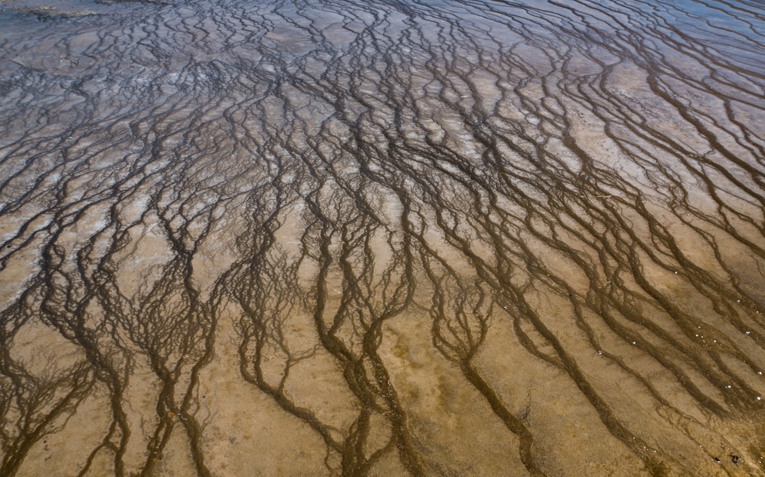 Bacterial Flows, Yellowstone NP.jpg