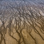 Bacterial Flows, Yellowstone NP.jpg