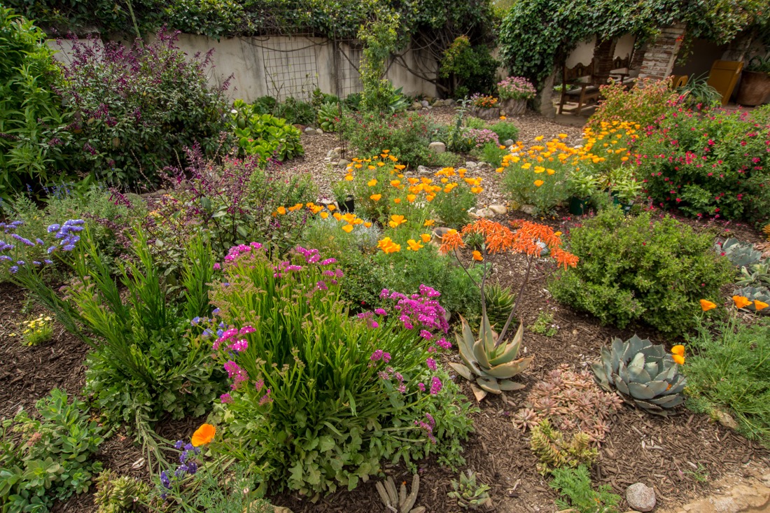 Capistrano Mission Courtyard.jpg