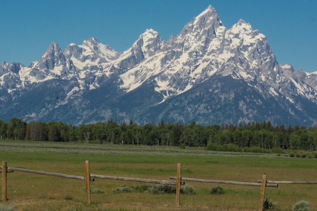 The Fence in the Foreground.jpg