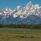 The Fence in the Foreground.jpg