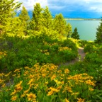 Path to the Lake.jpg