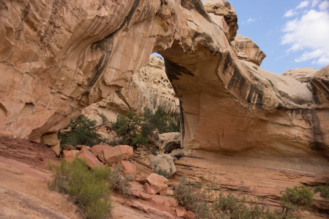 Hickman Natural Bridge - Fruita, Capitol Reef.jpg