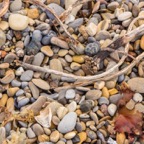 Pebbles.jpg