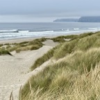 Oregon Dunes.png